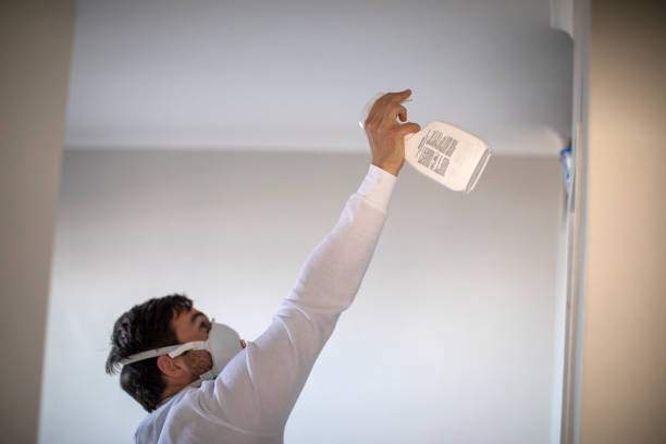 Best Best Mold Removal Companies  in Ivyland, PA
