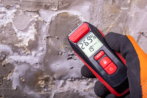 Best Certified Mold Removal  in Ivyland, PA