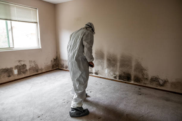 Best Commercial Mold Removal  in Ivyland, PA